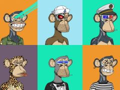 Image: 2023-03/boredapes.jpg