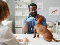 Image: 2023-04/vet-trends-hub-image.jpg